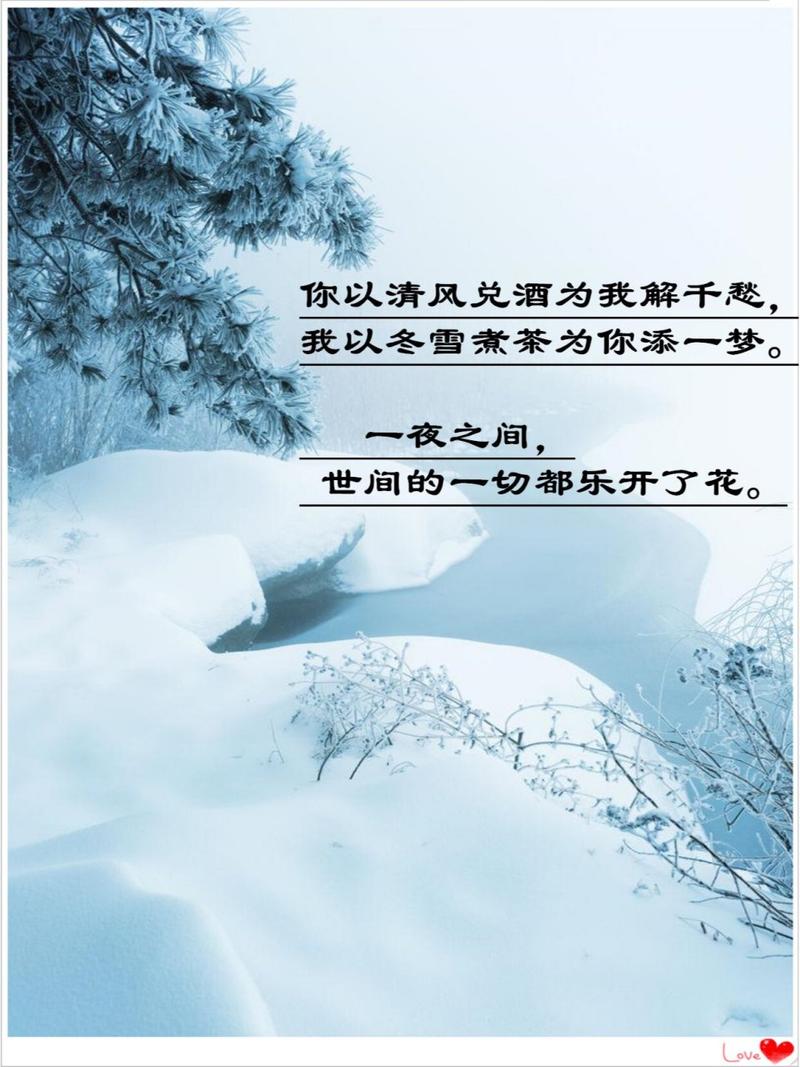 北京竟然下雪了