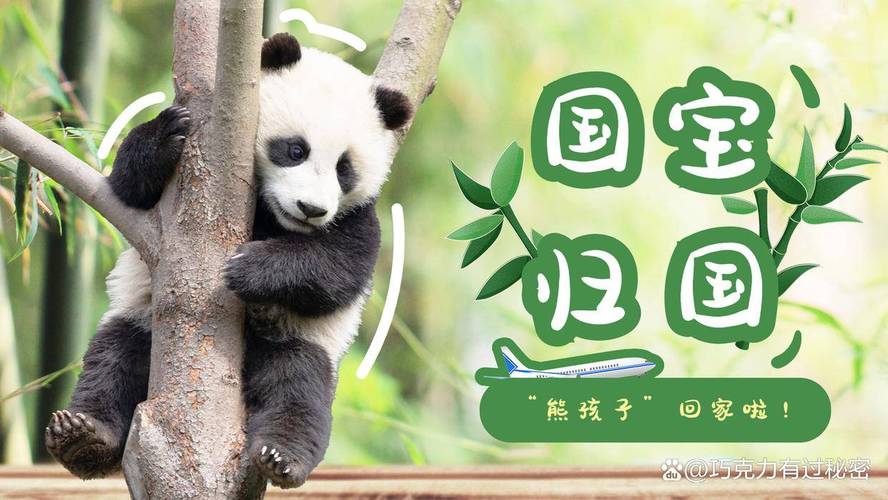 新闻中心 第244页