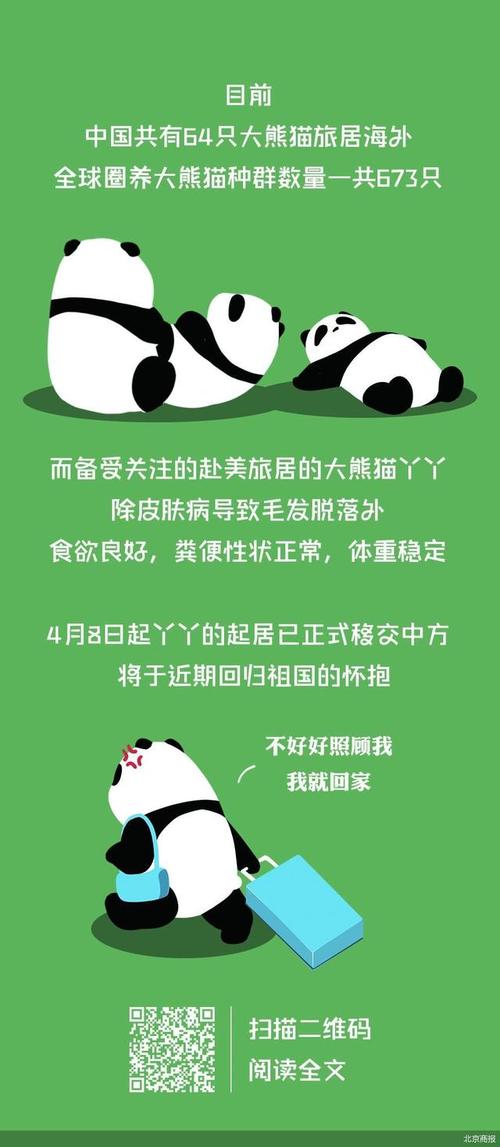 2025全年資料免費大全和4旅日大熊猫将回国与旅日20年熊猫将回国 视频