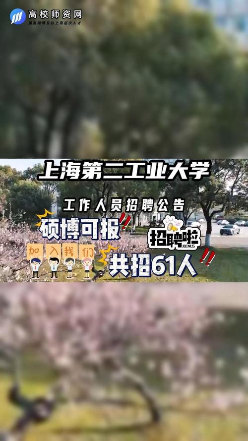 四不像正版资料2025和32所新大学来了与32所新大学来了多少学生