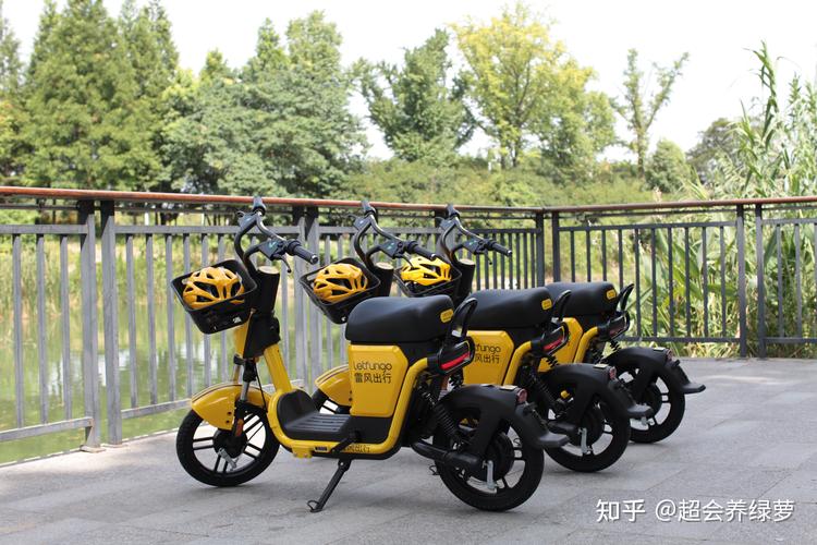 澳门研究生资料网站大全,和海口禁止共享电单车与海口禁止共享电单车吗