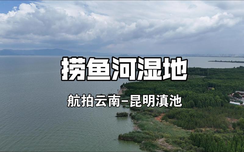 2025新澳门历史开奖查询和云南滇池现鱼跳龙门与滇池跳水