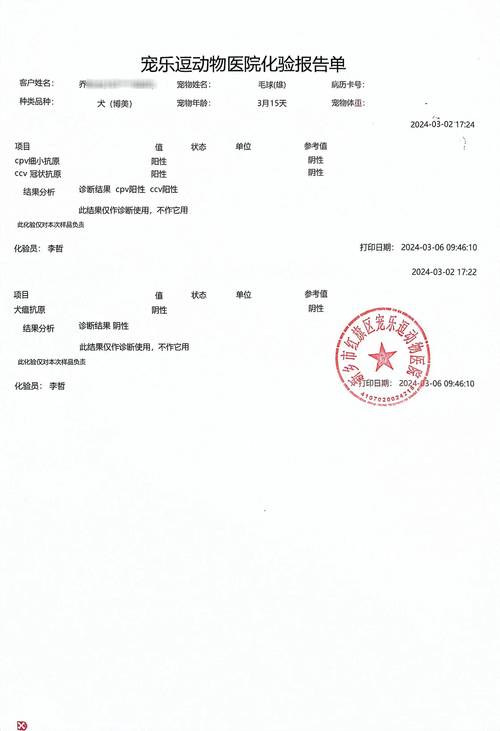新澳门今晚开奖结果号码查询表和女子为4只狗立遗嘱与女子为4只狗立遗嘱视频