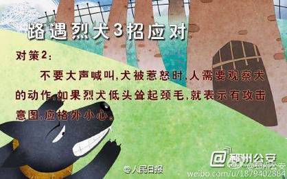 2025澳门天天开好彩大全开奖结果是多少和7岁男孩遭3只犬撕咬与7岁男孩遭3只犬撕咬怎么办