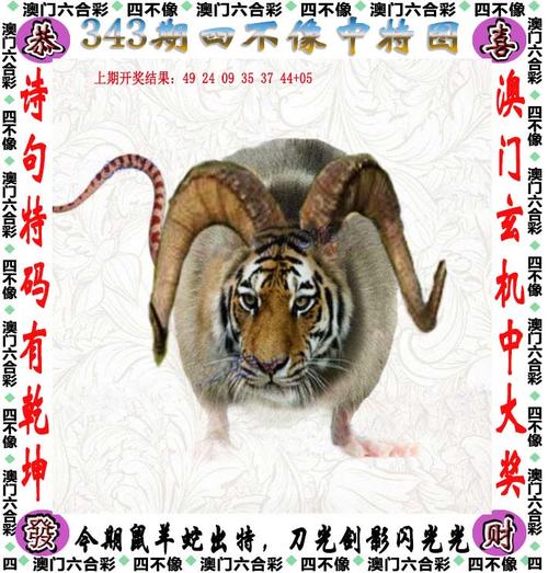 四不像正版资料2025和熊闯入家中上桌偷吃与熊闯入家中上桌偷吃食物